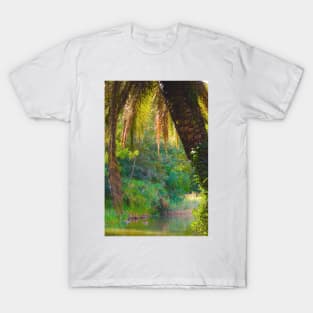 Lago da Gulbenkian. Art Museum T-Shirt